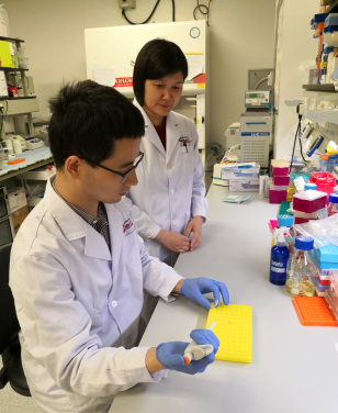 港大醫學院微生物學系及愛滋病研究所的研究助理教授劉利博士在指導其學生進行研究工作。